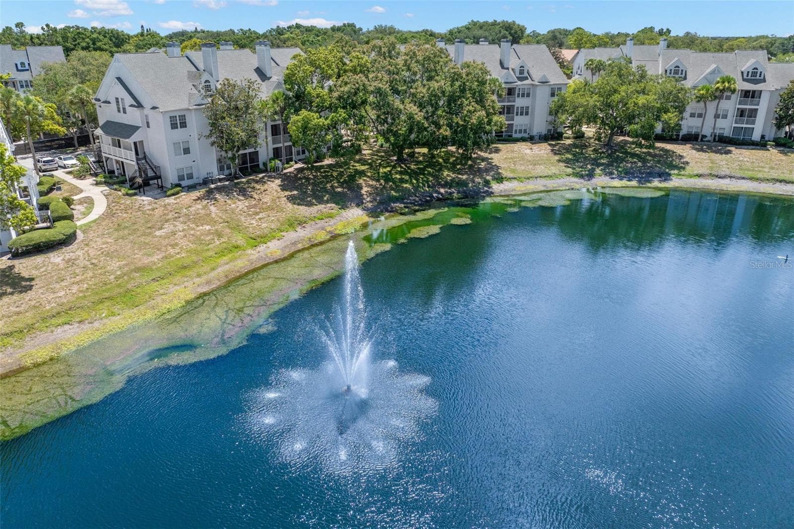 Condominium at 3310 HAVILAND CT #104, PALM HARBOR, photo 32 of 48
