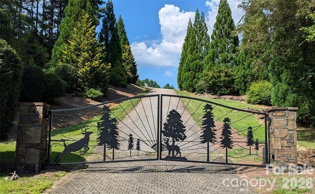 Lot at 14 Spring Hollow Road, Lake Lure, photo 2 of 12