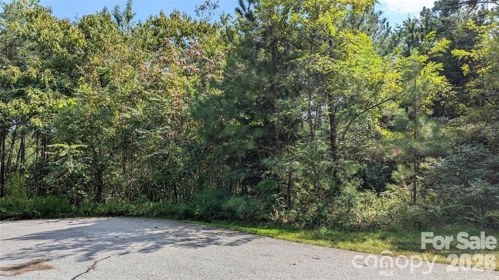 Lot at 14 Spring Hollow Road, Lake Lure, photo 5 of 12