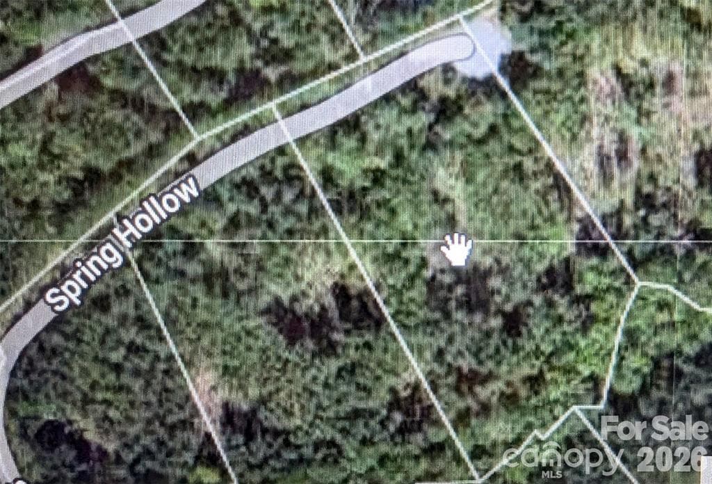 Lot at 14 Spring Hollow Road, Lake Lure, photo 6 of 12