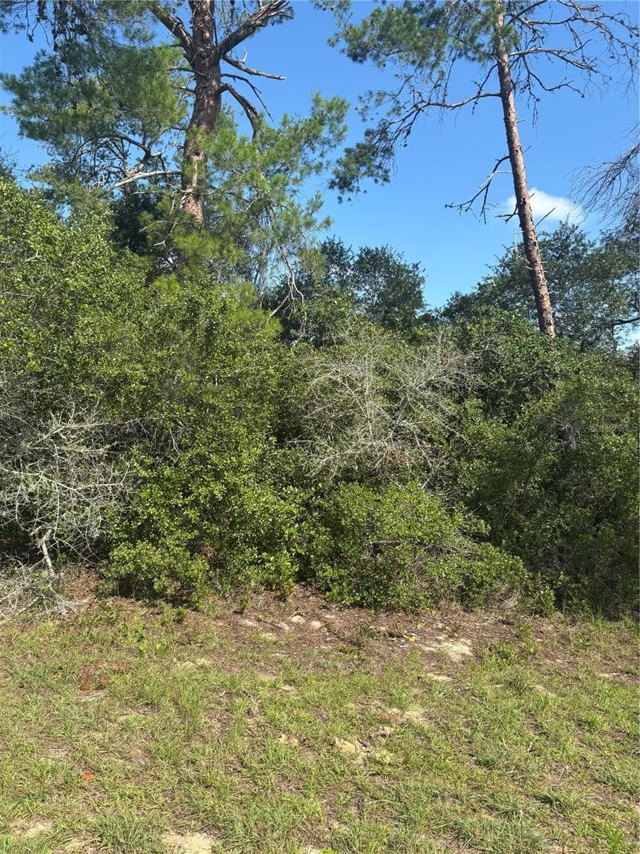 Power box - 16698 SW 21ST CIR, OCALA