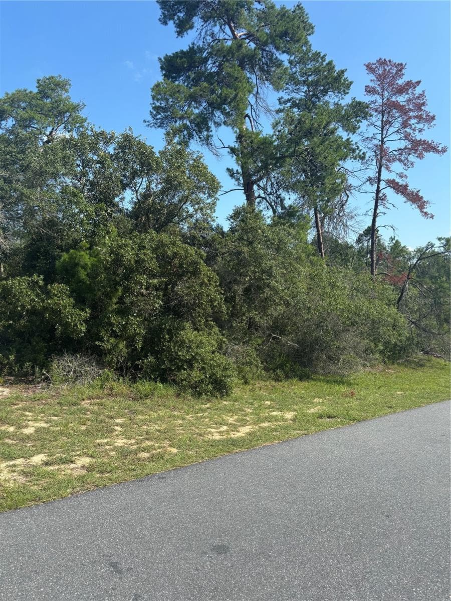 Land at 16698 SW 21ST CIR, OCALA, photo 10 of 10