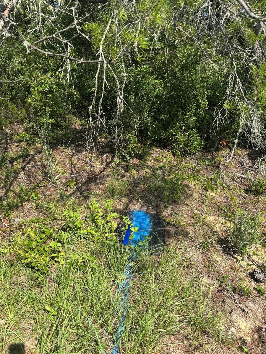 Water conection - 16698 SW 21ST CIR, OCALA