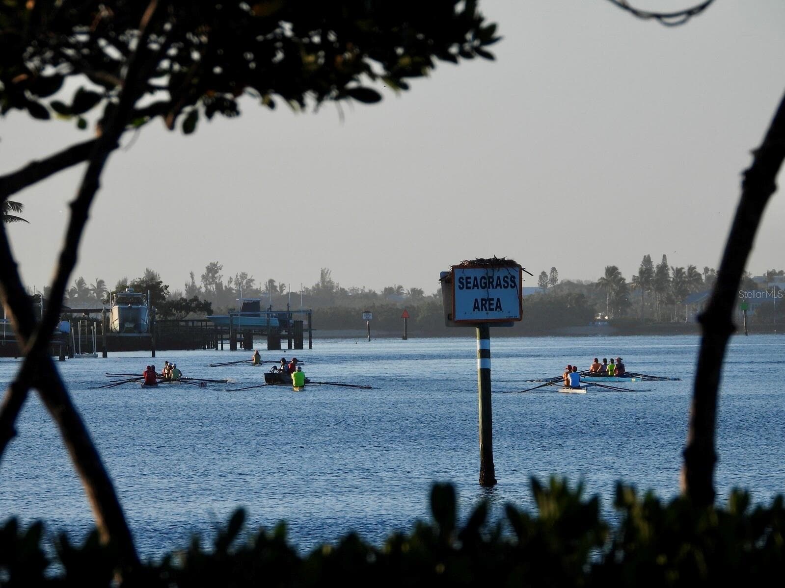 Crew teams on the intracoastal - 206 FOUR KNOT LN, OSPREY