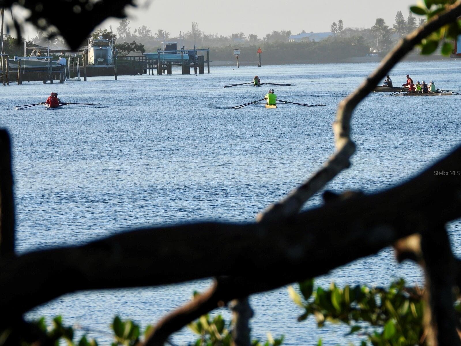 Crew teams on the intracoastal - 206 FOUR KNOT LN, OSPREY