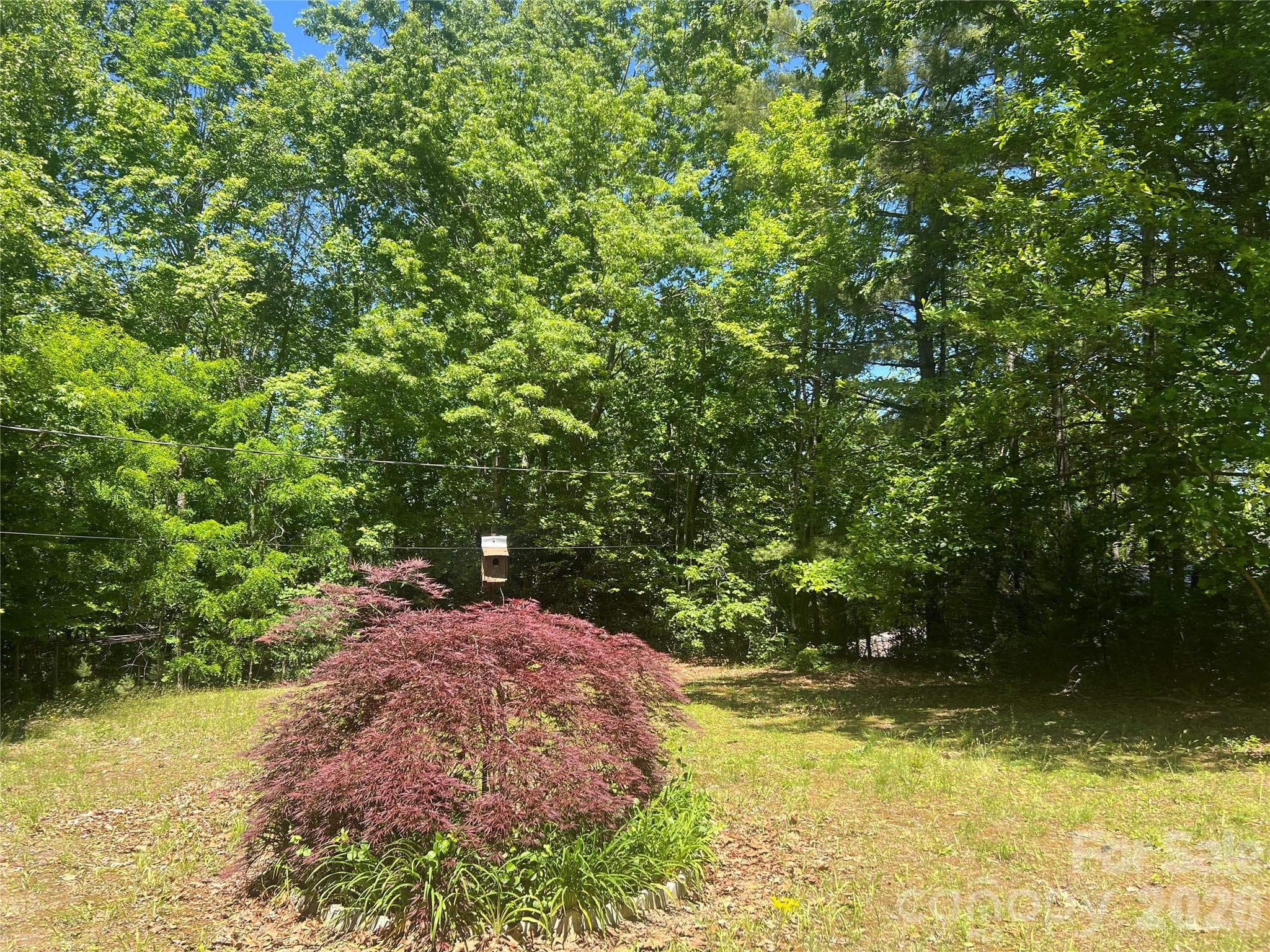 Lot at Fletcher, photo 2 of 3