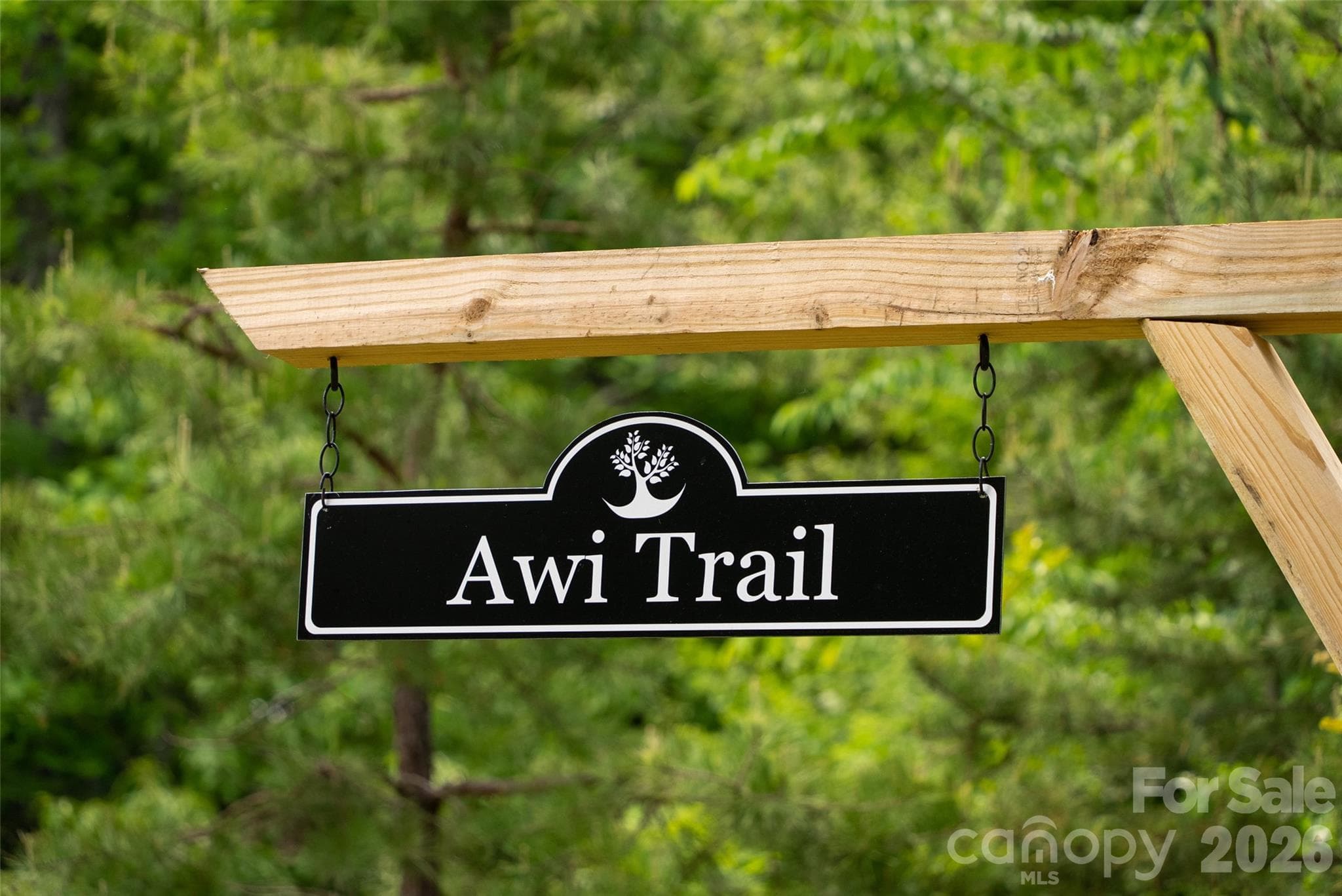 Awi Trail - Lot #28 Awi Trail, Hendersonville