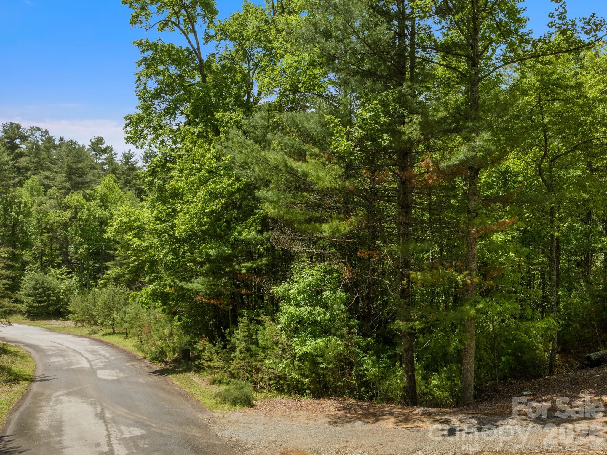 Single Family Residence at Lot #28 Awi Trail, Hendersonville, photo 14 of 15