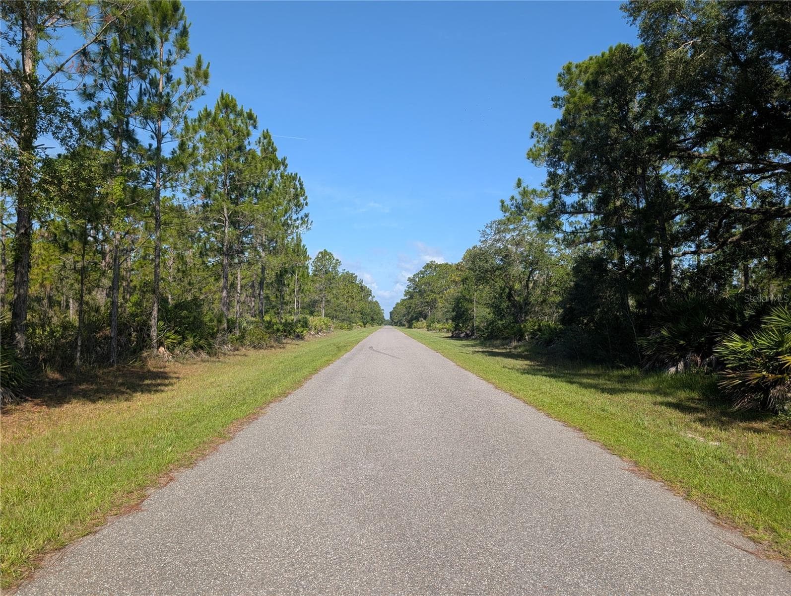Land at 819 & 821 ALLAMANDA DR, INDIAN LAKE ESTATES, photo 2 of 47