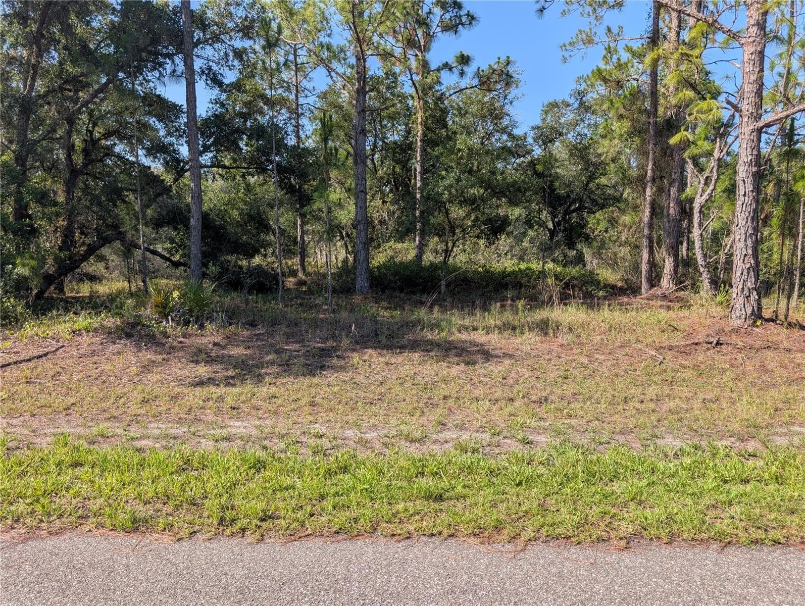 Land at 819 & 821 ALLAMANDA DR, INDIAN LAKE ESTATES, photo 5 of 47