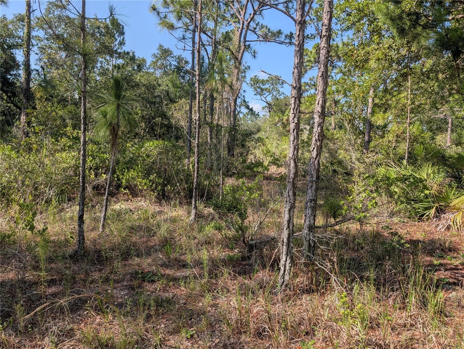 Land at 819 & 821 ALLAMANDA DR, INDIAN LAKE ESTATES, photo 6 of 47