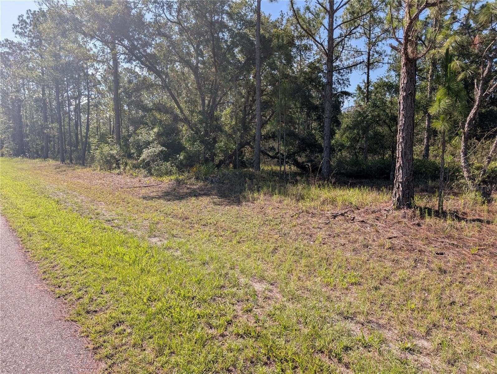 Land at 819 & 821 ALLAMANDA DR, INDIAN LAKE ESTATES, photo 7 of 47