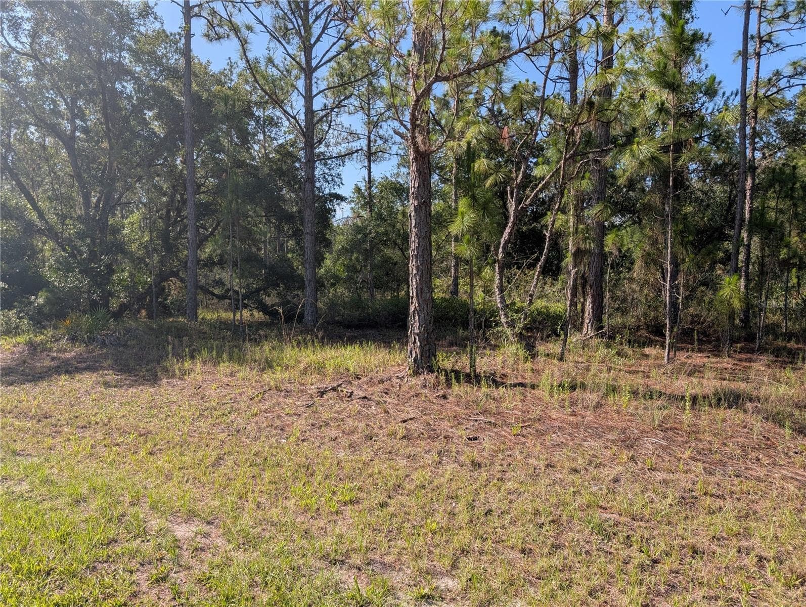 Land at 819 & 821 ALLAMANDA DR, INDIAN LAKE ESTATES, photo 8 of 47