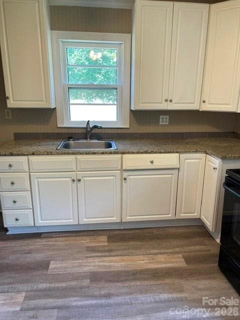 Single Family Residence at 210 & 208 Munn Road, Fort Mill, photo 5 of 6