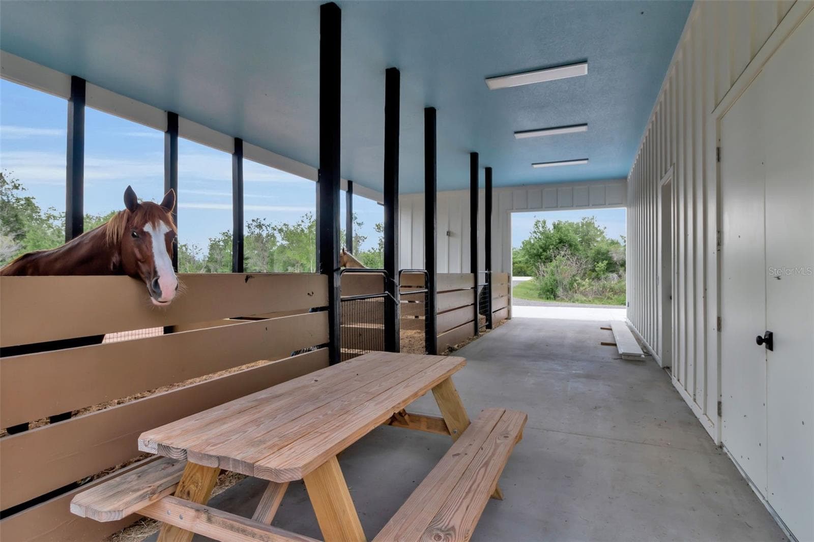 Single Family Residence at 40916 11TH AVENUE EAST, MYAKKA CITY, photo 63 of 95