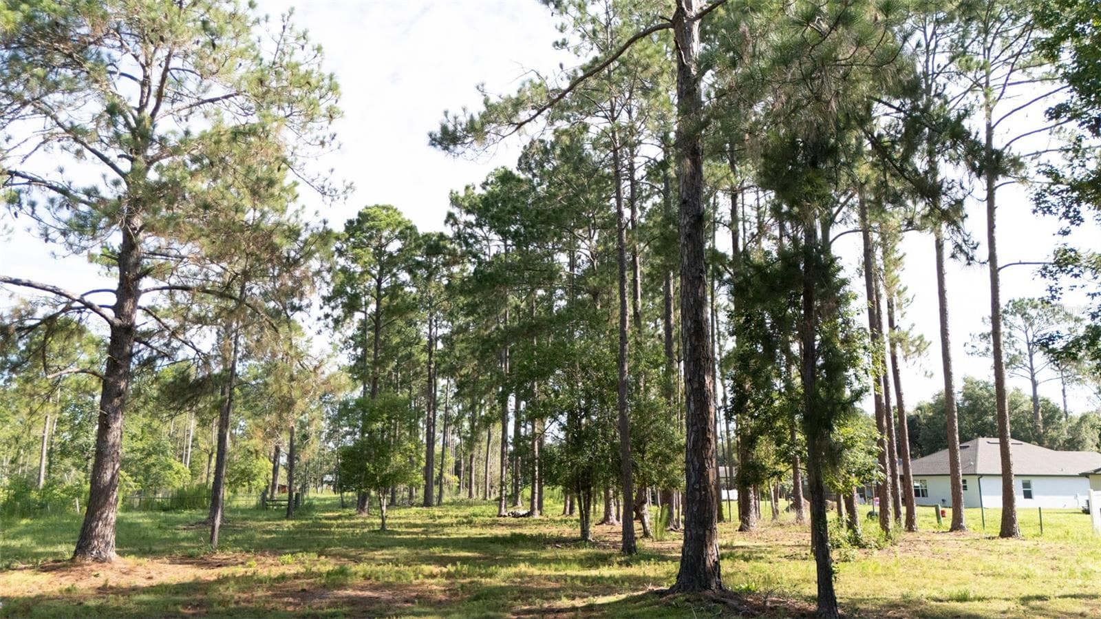 Land at NO STREET, DELAND, photo 3 of 10