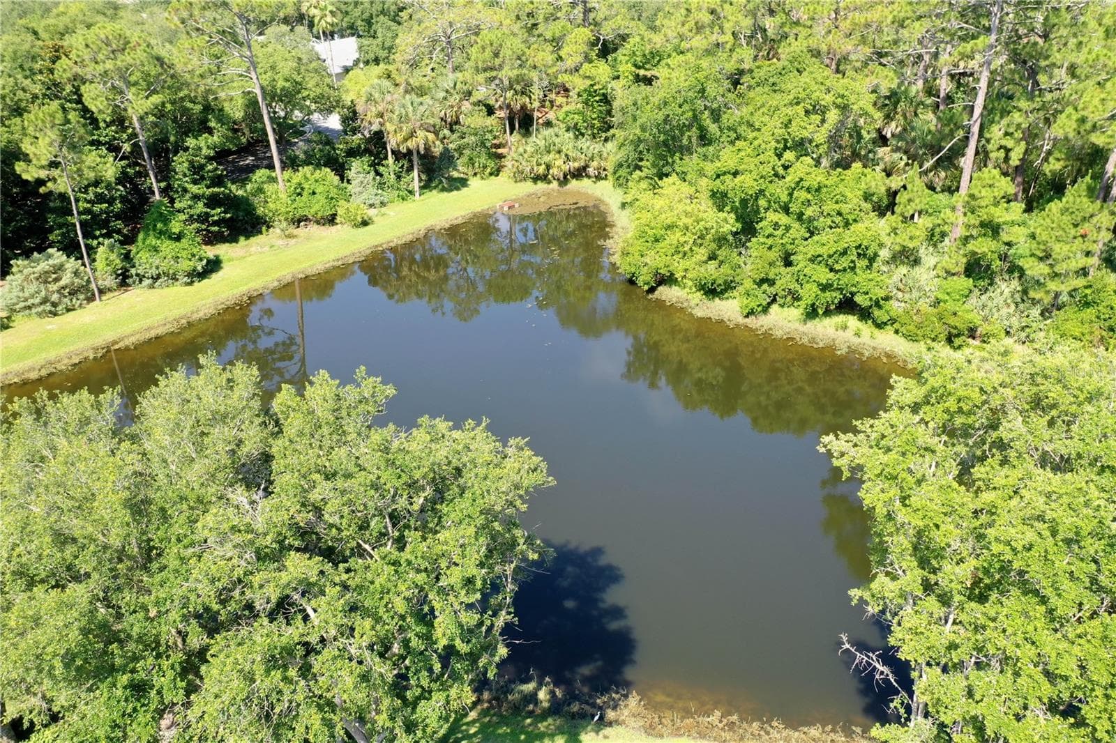 Single Family Residence at 15 TANGLEWOOD CT, PALM COAST, photo 38 of 65