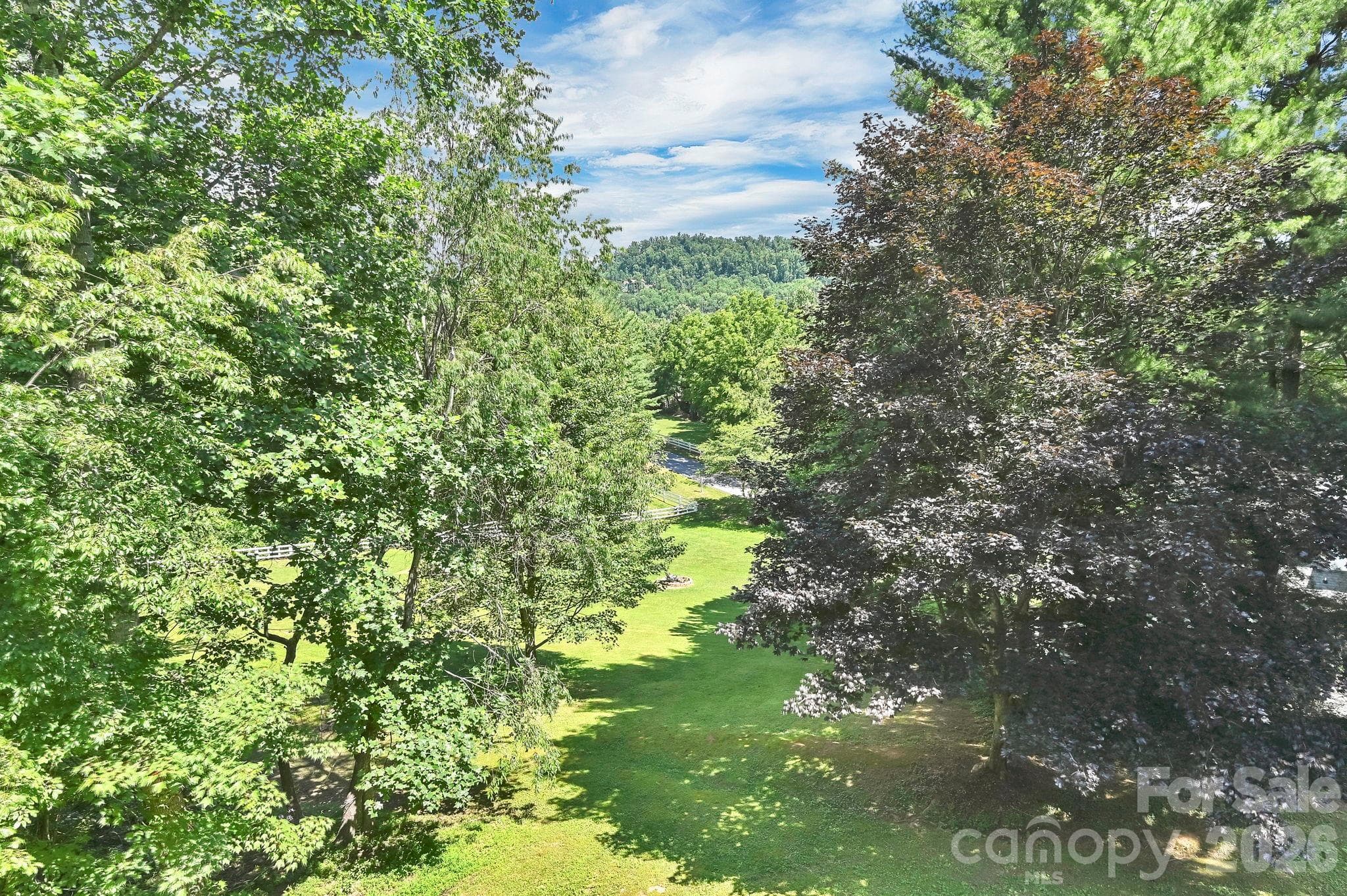 View - 31 Surrey Run, Asheville