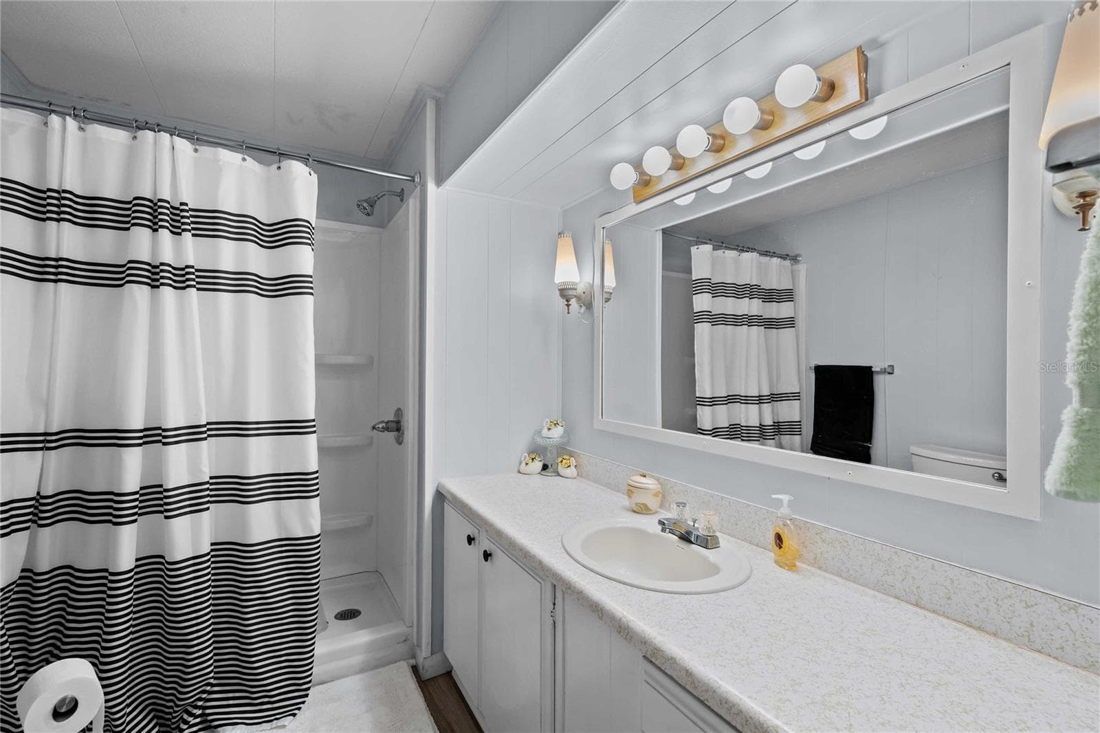 Guest bath also has an updated walk-in shower - 5301 FLINT ST, ZEPHYRHILLS