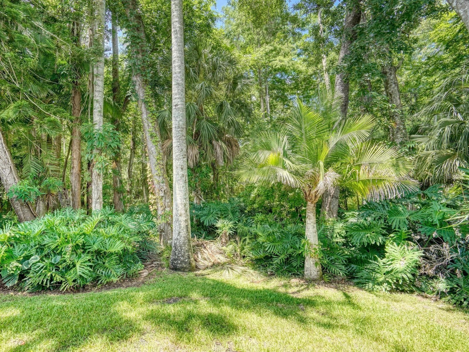 Villa at 3454 KILLDEER PL, PALM HARBOR, photo 35 of 41
