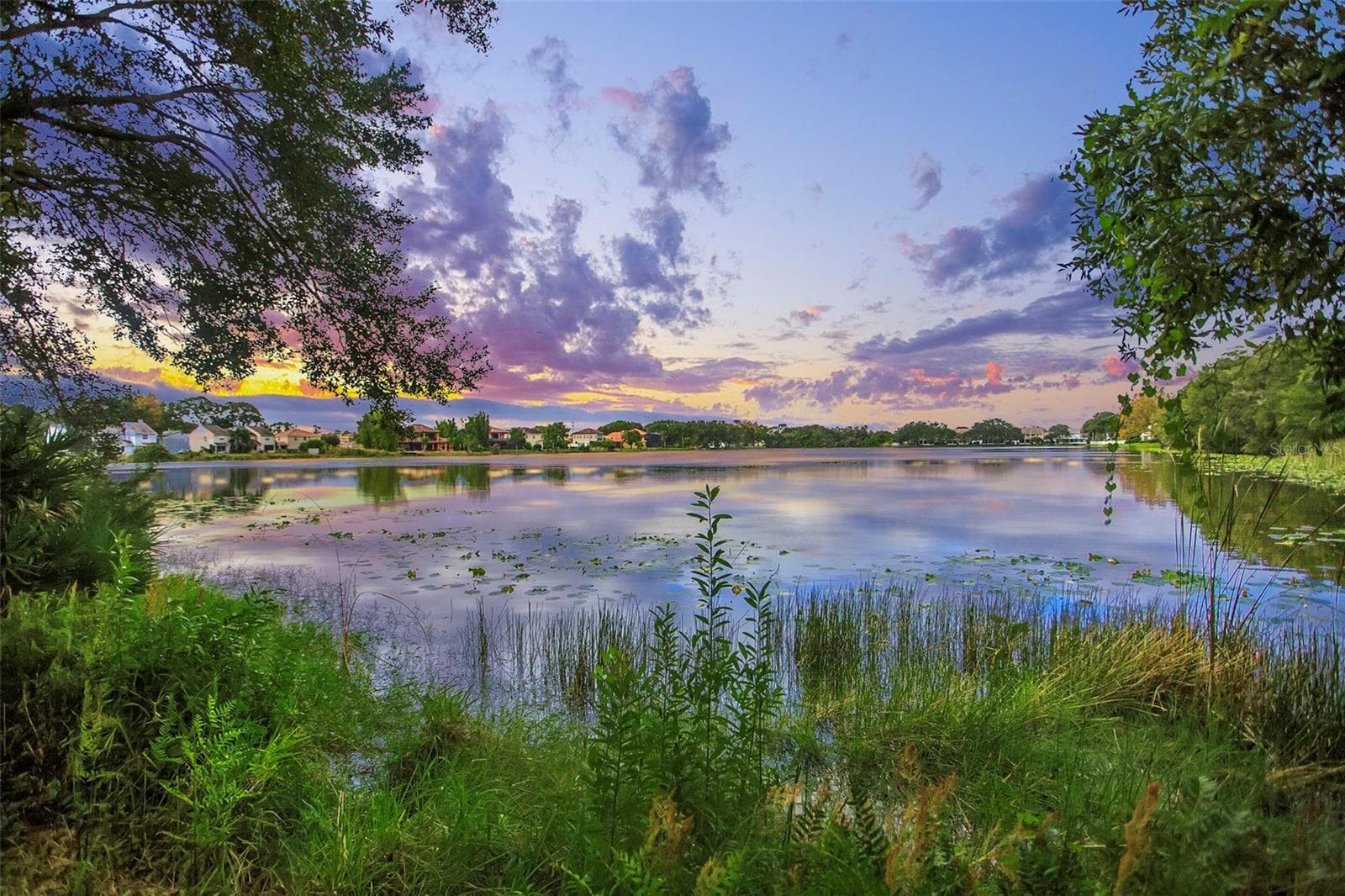 Community Pond - 8471 SANDY BEACH ST, TAMPA