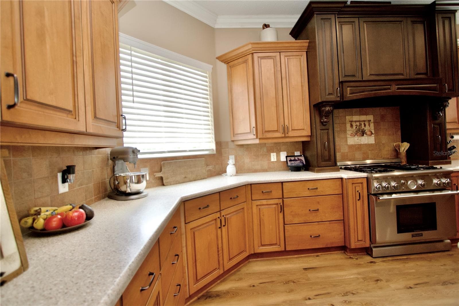 Single Family Residence at 32112 JACK RUSSELL CT, DADE CITY, photo 19 of 74