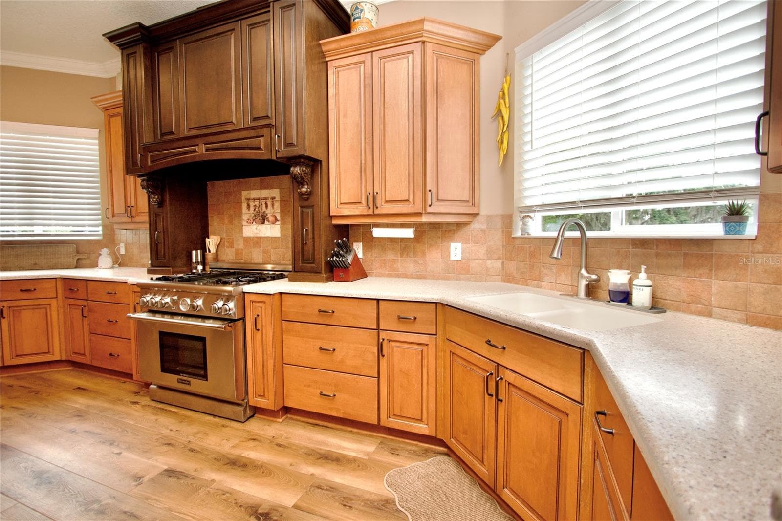 Single Family Residence at 32112 JACK RUSSELL CT, DADE CITY, photo 22 of 74