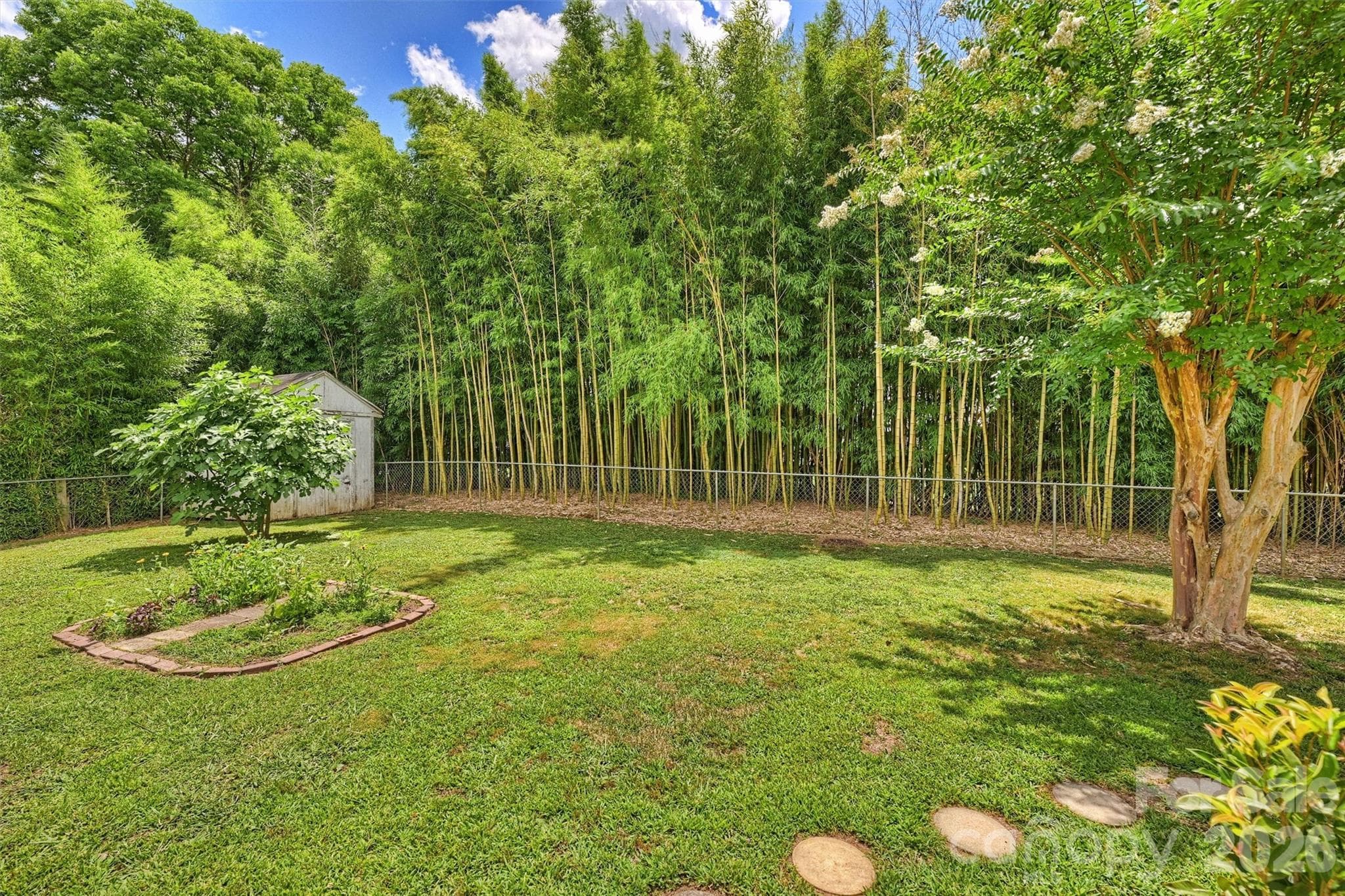 Backyard - 1673 Ashridge Road, Rock Hill