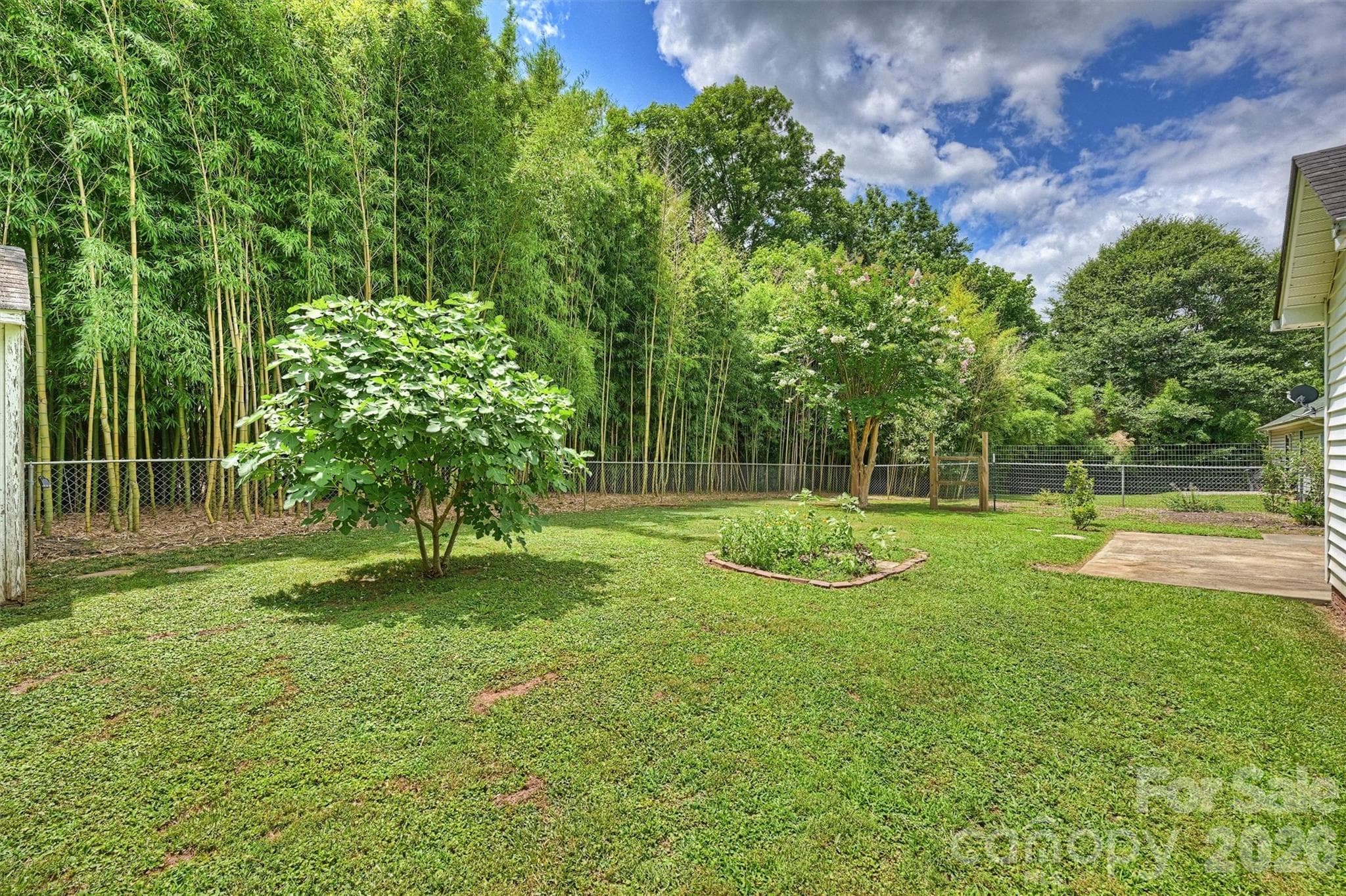 Backyard - 1673 Ashridge Road, Rock Hill