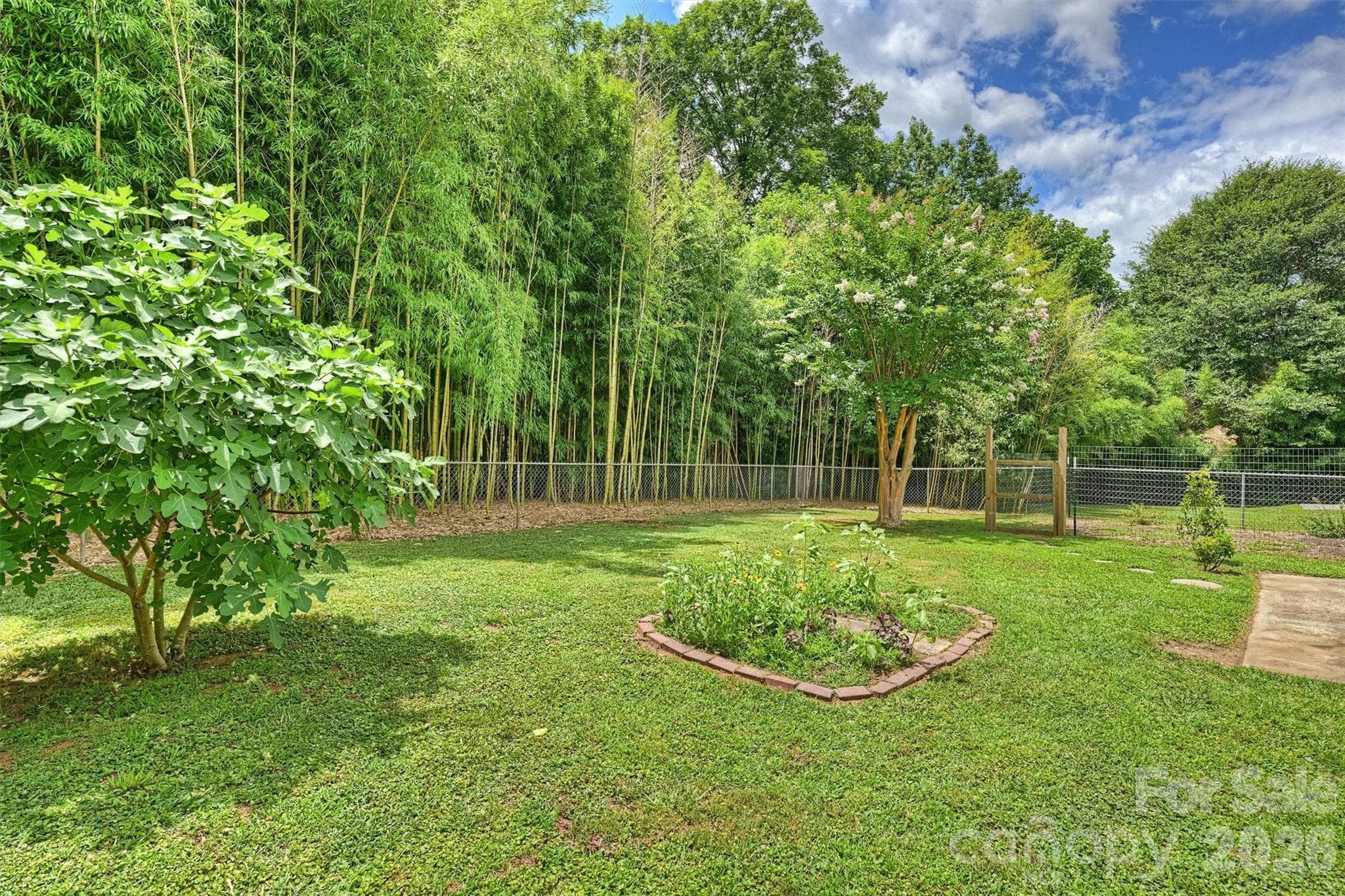Backyard - 1673 Ashridge Road, Rock Hill