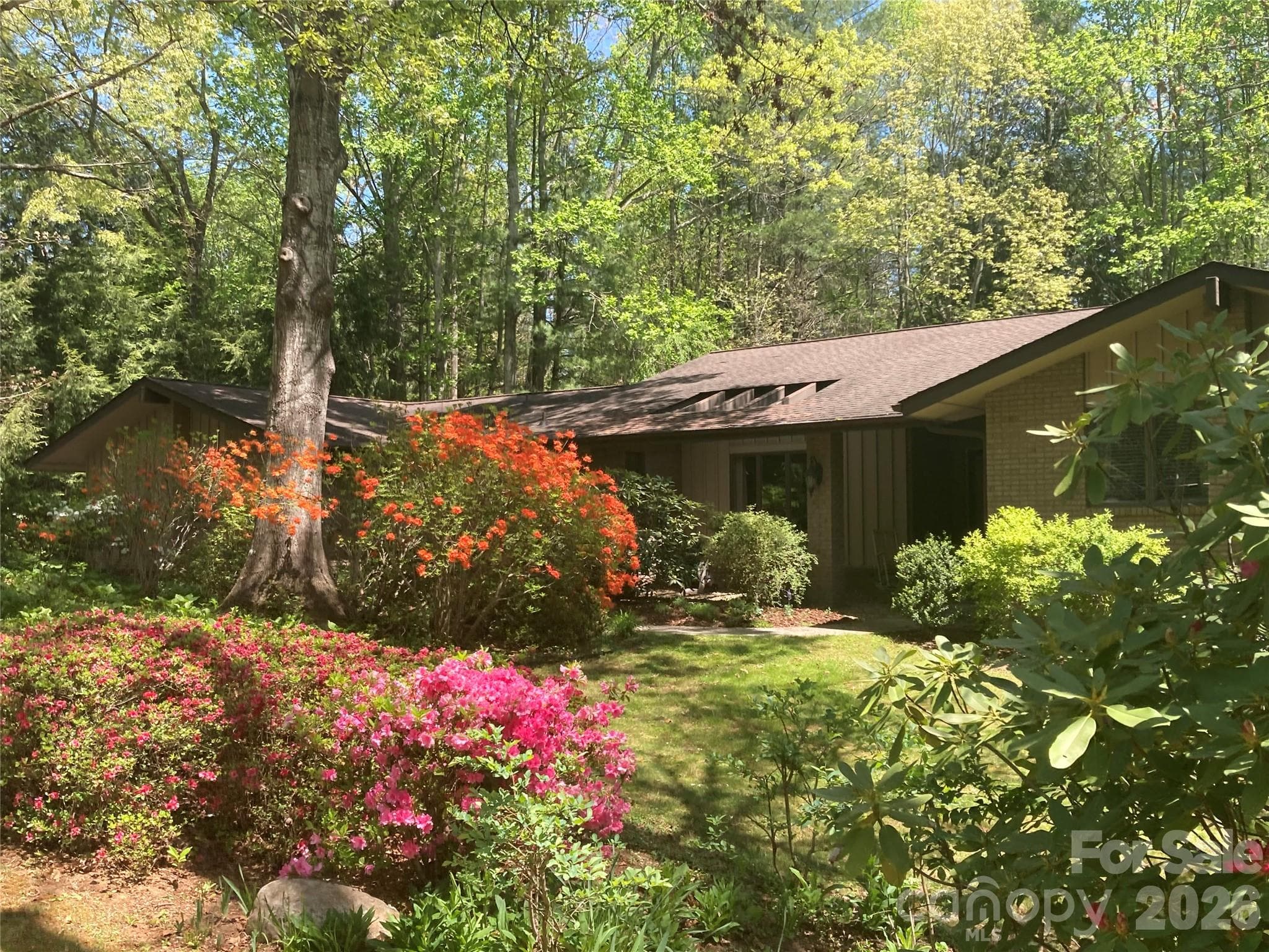 115 Woodhaven Drive - with spring blooms - Hendersonville
