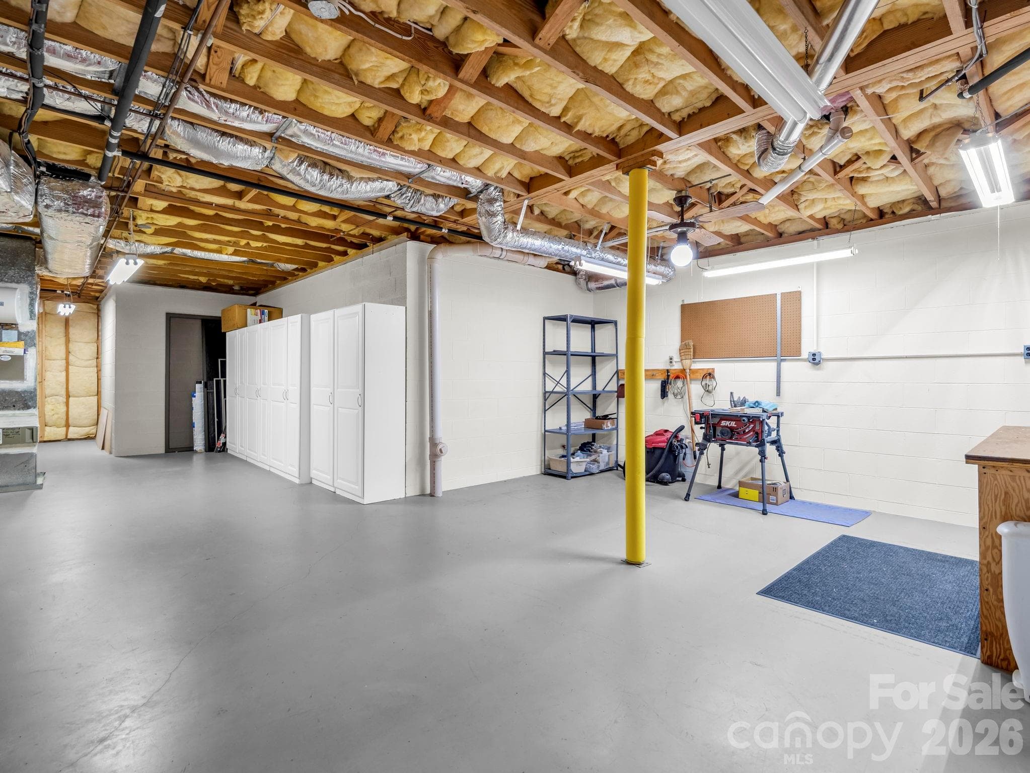 Basement storage with Workshop - 115 Woodhaven Drive, Hendersonville