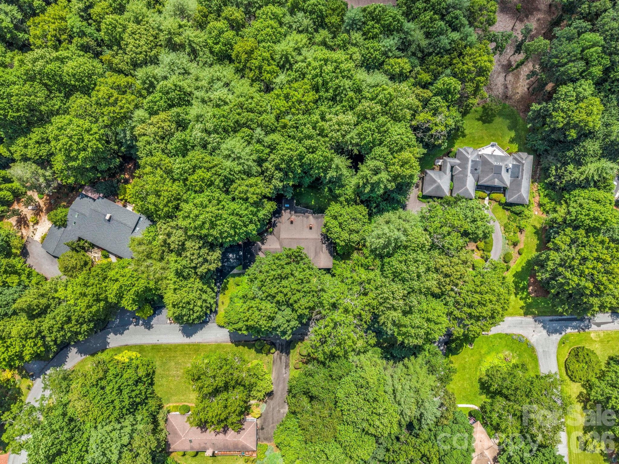 Aerial image - 115 Woodhaven Drive - 115 Woodhaven Drive, Hendersonville