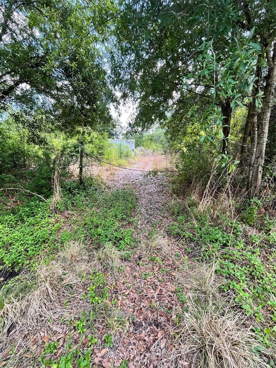 Land at 10907 ESTATES DEL SOL DR, RIVERVIEW, photo 5 of 29