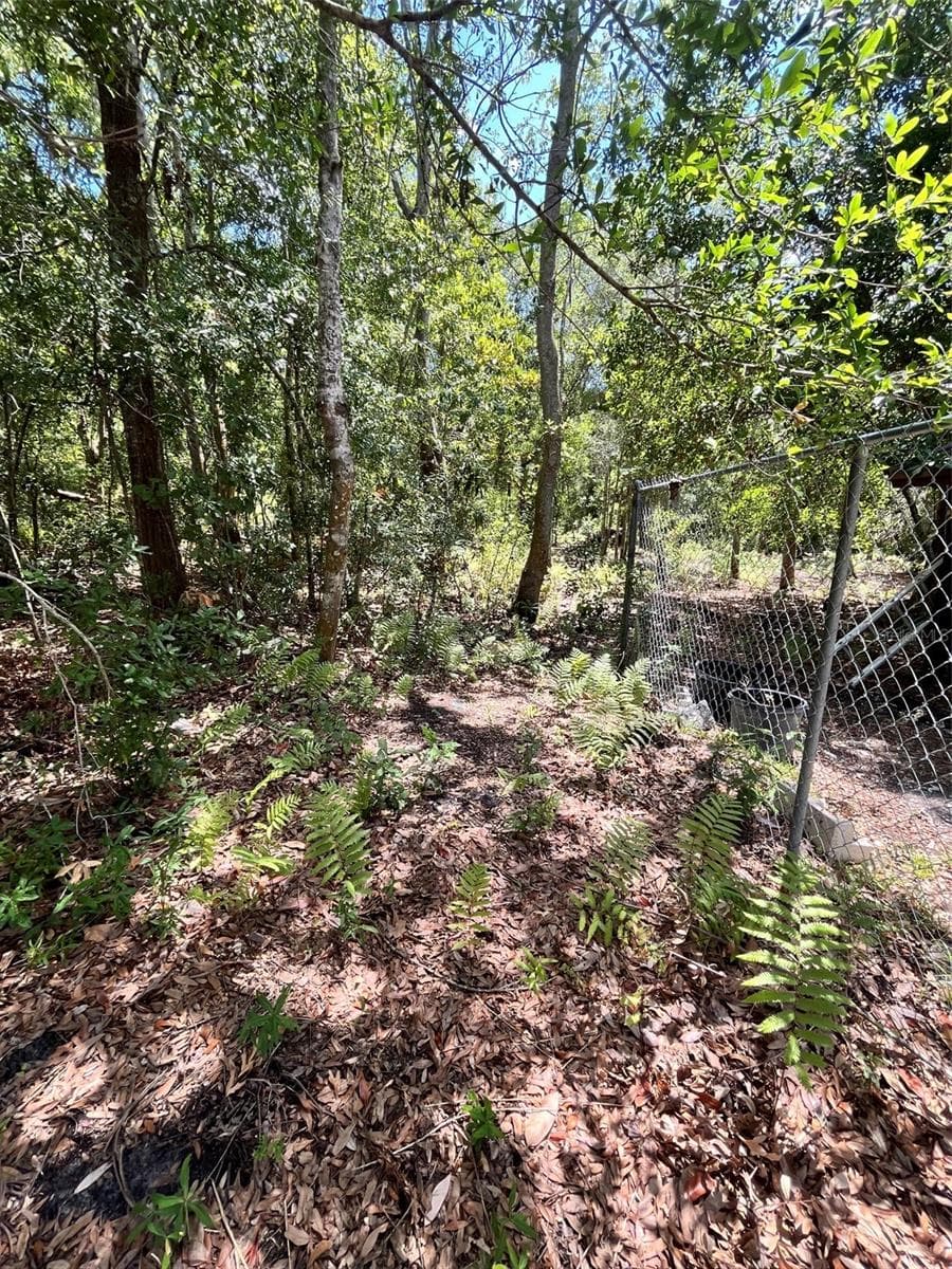 Land at 10907 ESTATES DEL SOL DR, RIVERVIEW, photo 15 of 29