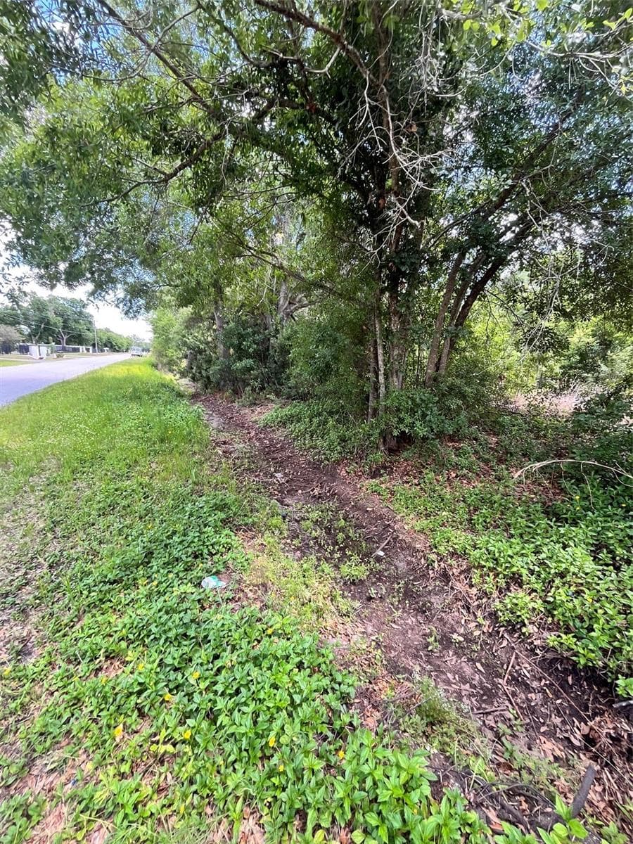 Land at 10907 ESTATES DEL SOL DR, RIVERVIEW, photo 18 of 29