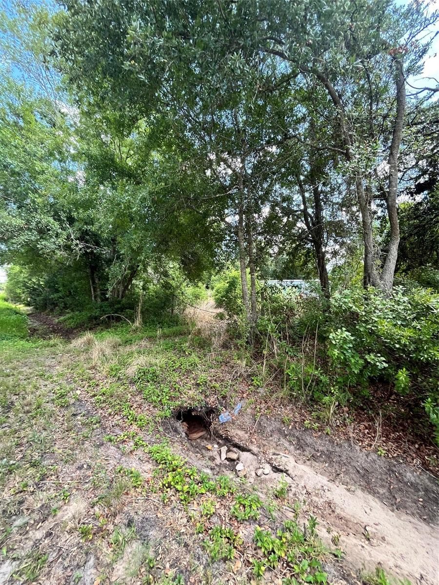 Land at 10907 ESTATES DEL SOL DR, RIVERVIEW, photo 23 of 29
