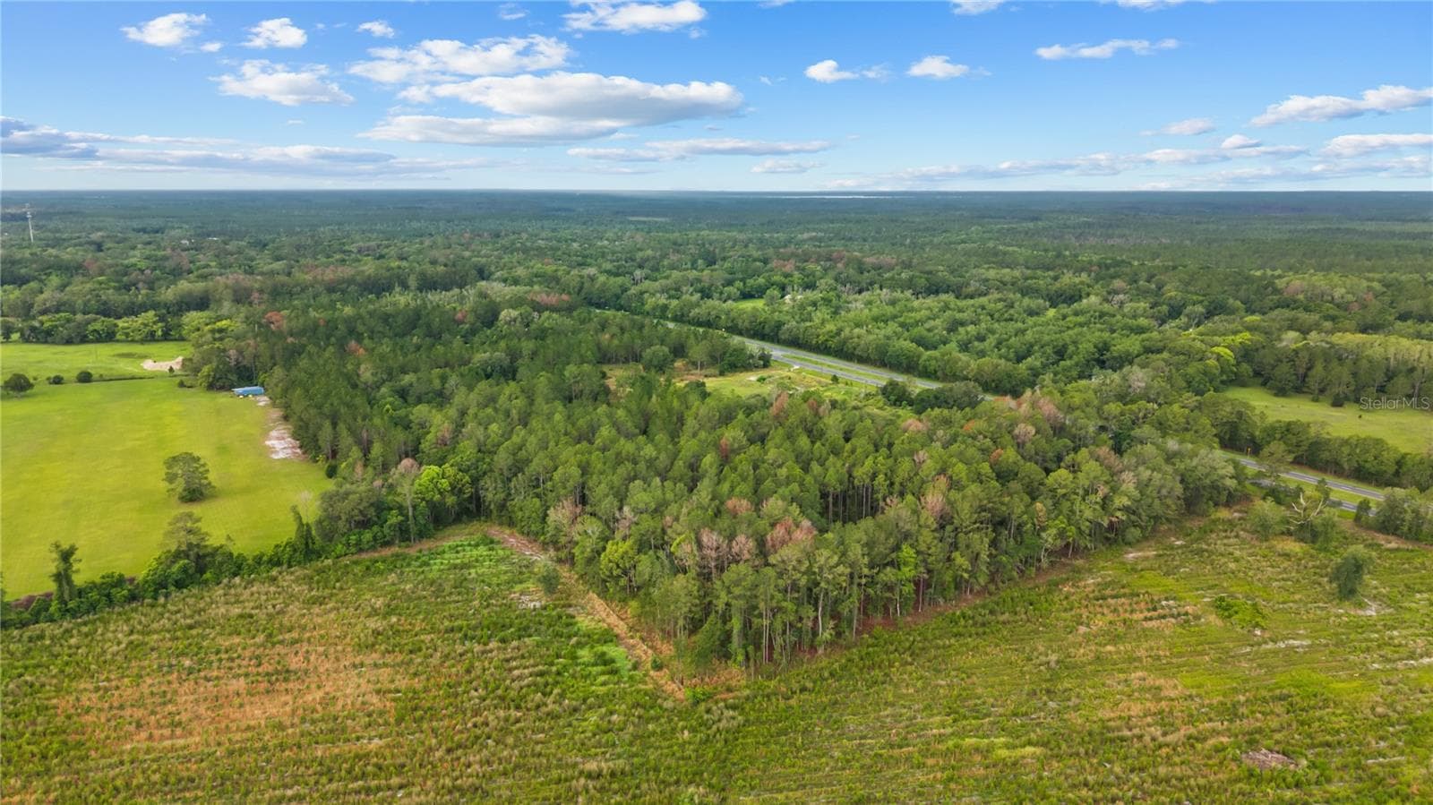 Land at NE US HIGHWAY 301, HAWTHORNE, photo 4 of 25