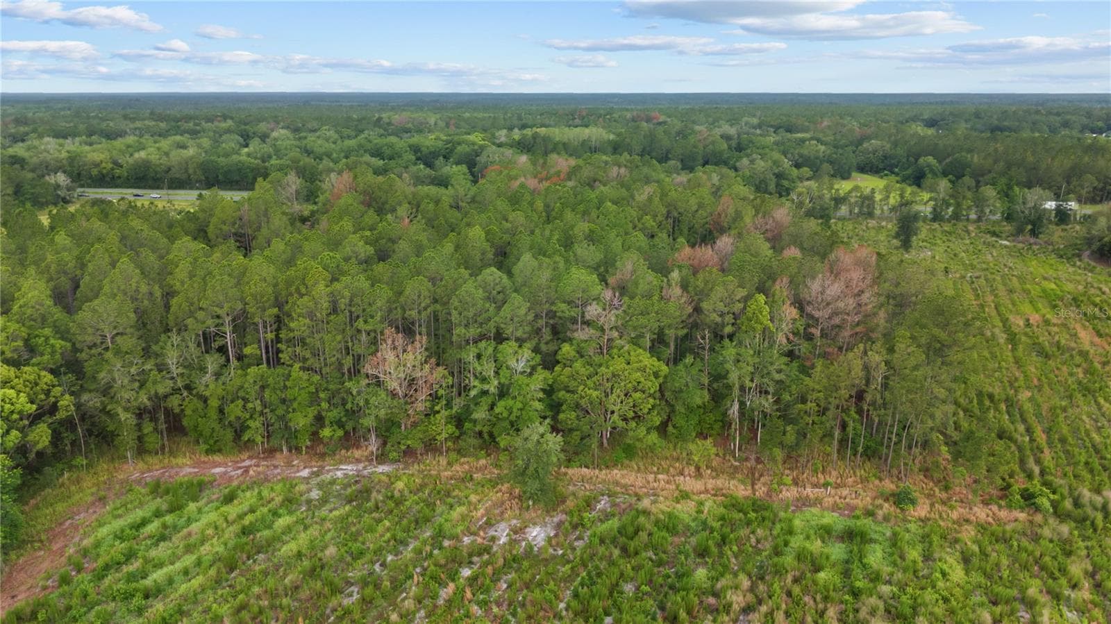 Land at NE US HIGHWAY 301, HAWTHORNE, photo 5 of 25