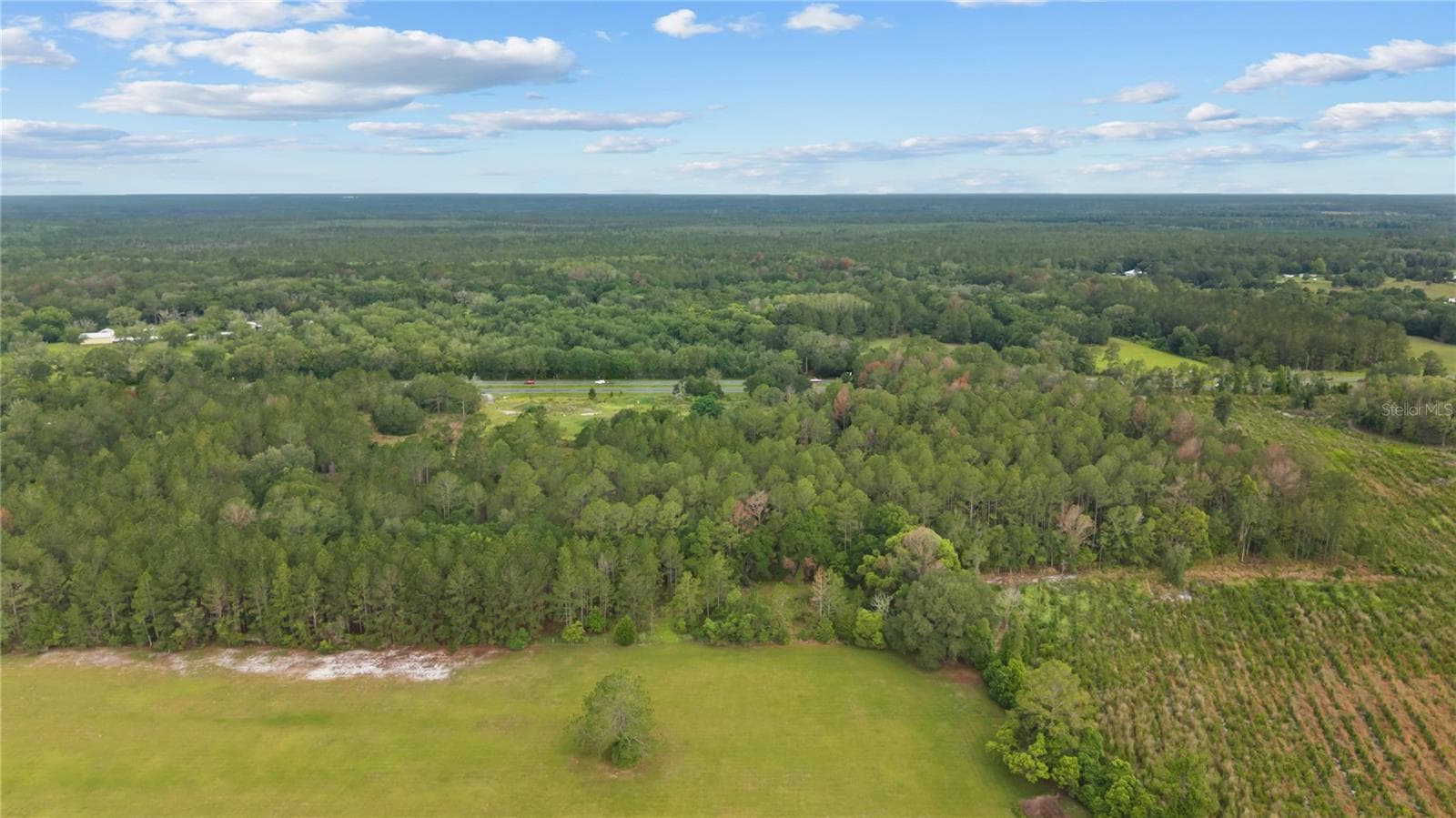 Land at NE US HIGHWAY 301, HAWTHORNE, photo 7 of 25