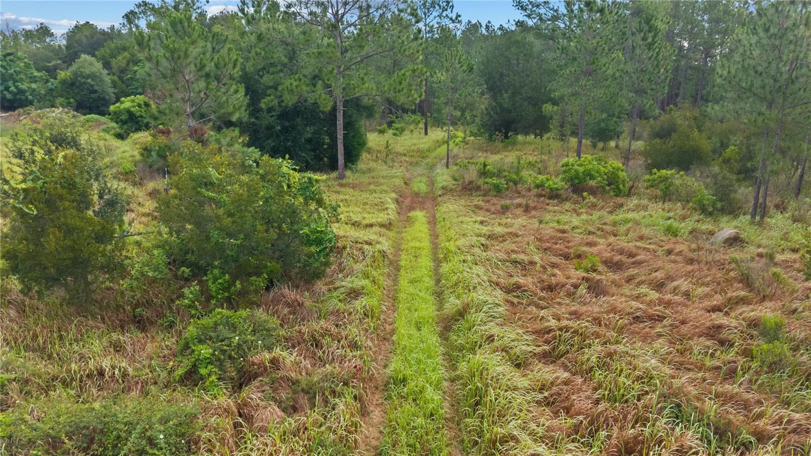 Land at NE US HIGHWAY 301, HAWTHORNE, photo 10 of 25