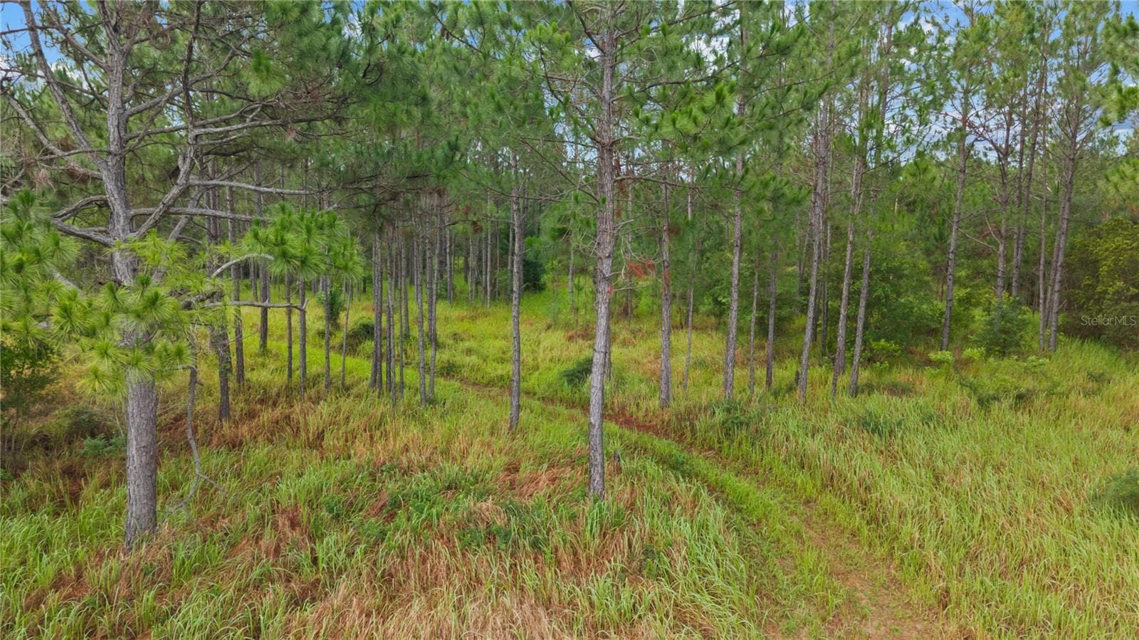 Land at NE US HIGHWAY 301, HAWTHORNE, photo 11 of 25