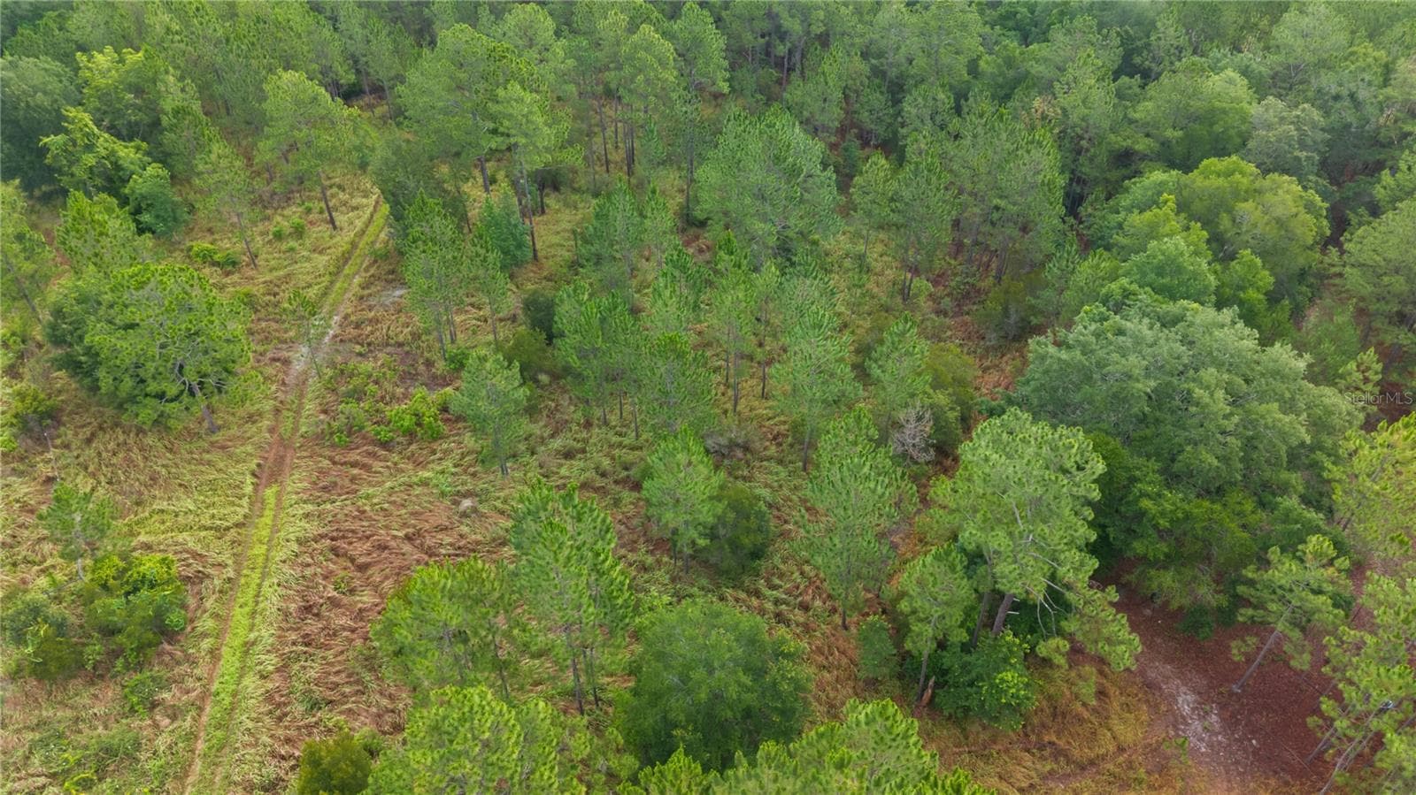 Land at NE US HIGHWAY 301, HAWTHORNE, photo 12 of 25