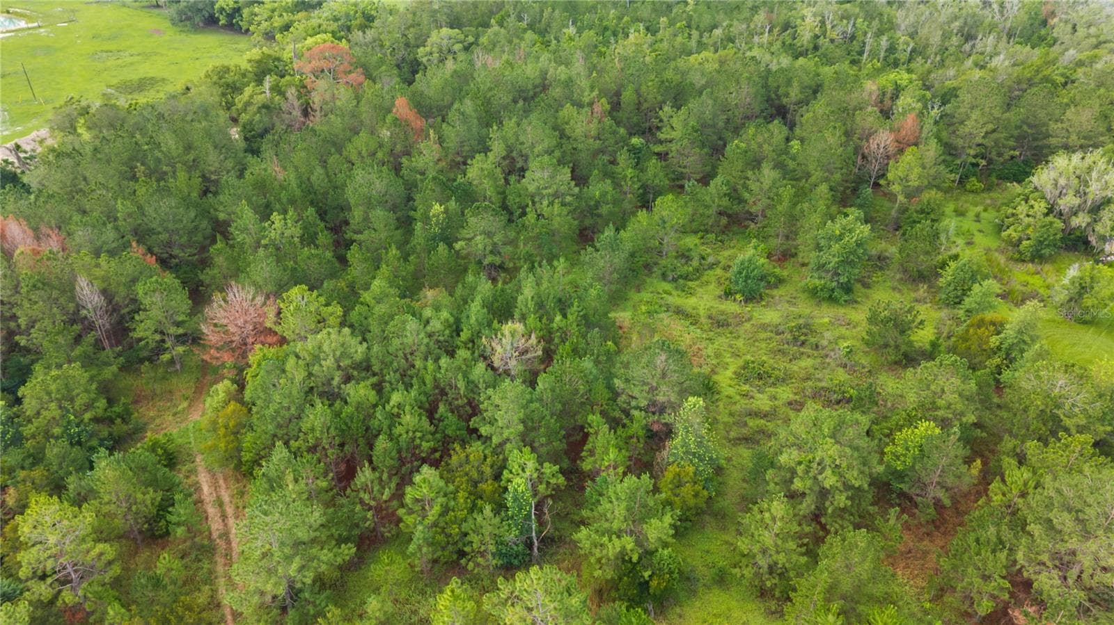 Land at NE US HIGHWAY 301, HAWTHORNE, photo 20 of 25