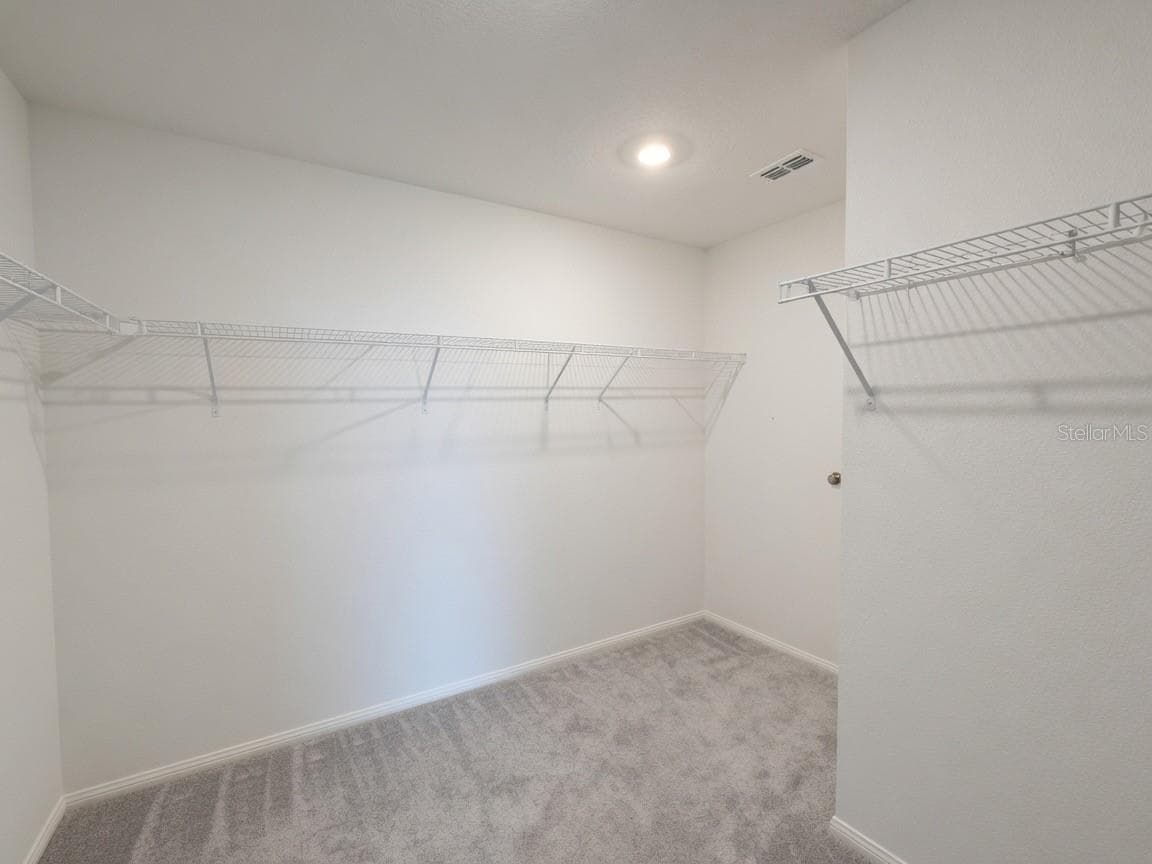 Primary Closet - 8807 SUNSET PARK TRL, PARRISH