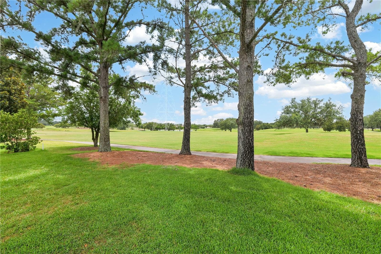 Expansive backyard views with mature trees and open green space, offering a serene and picturesque setting. - 16815 SE 85TH BELKNAP AVE, THE VILLAGES