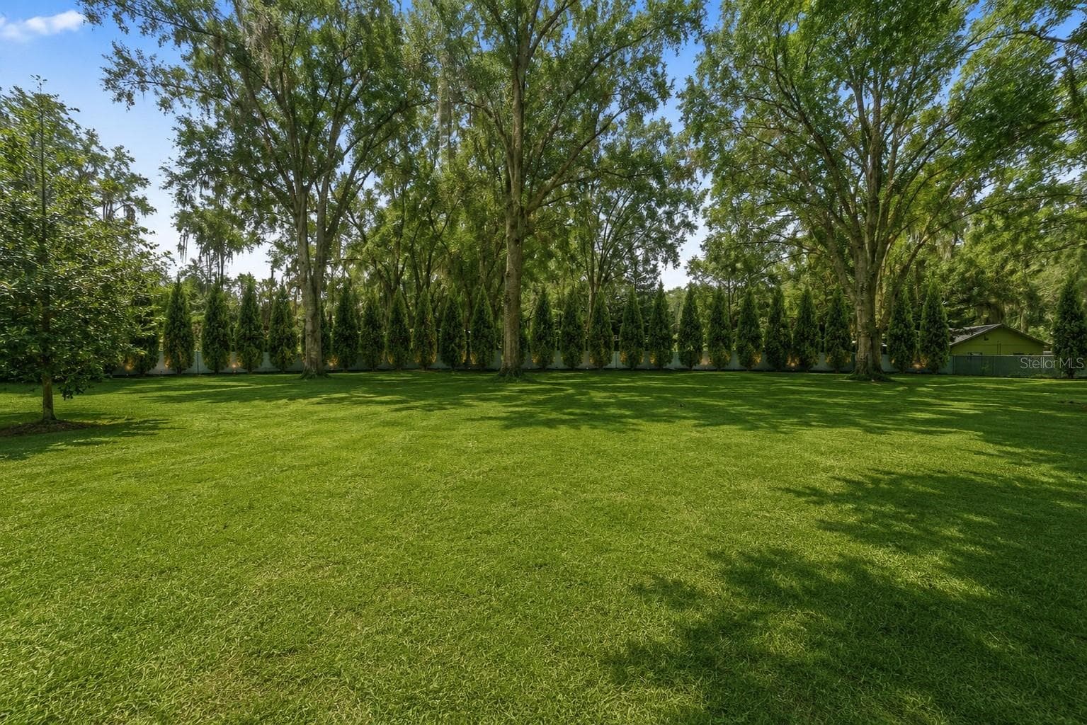 AI Rendering - 1444 CHESAPEAKE DR, ODESSA