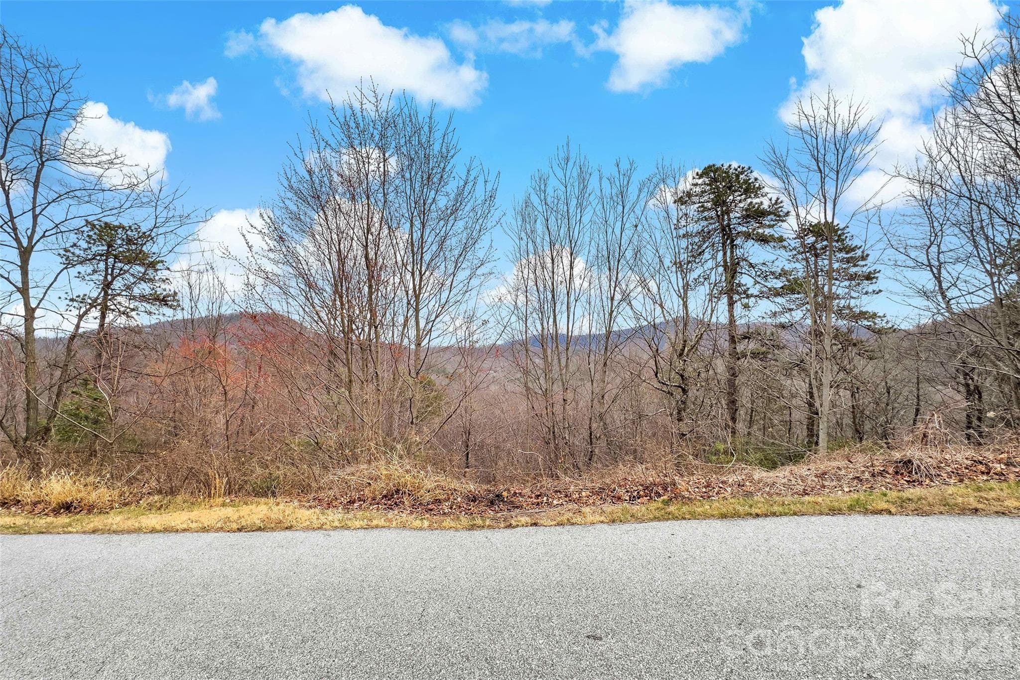 Acreage at Black Mountain, photo 2 of 22