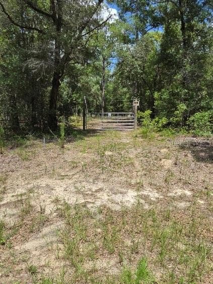 Land at 8355 N ORTON WAY, DUNNELLON, photo 2 of 13