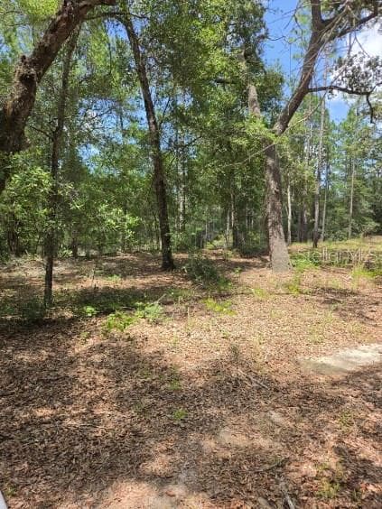 Land at 8355 N ORTON WAY, DUNNELLON, photo 5 of 13